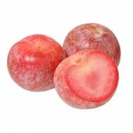 Саджанець колоновидний гібрид слива-абрикос Плуот